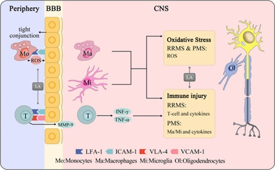 Lipoic acid and multiple sclerosis: A randomized controlled conical trial {faces}